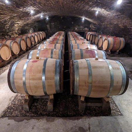 Les Gites De Cour Remond Villers-la-Faye Экстерьер фото