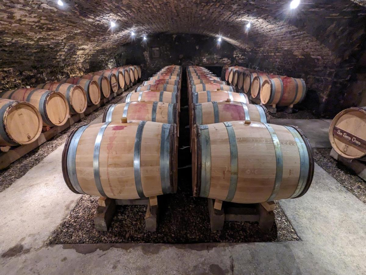 Les Gites De Cour Remond Villers-la-Faye Экстерьер фото